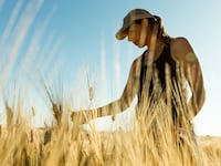 Why American Craft Distillers Are Obsessing About Grain