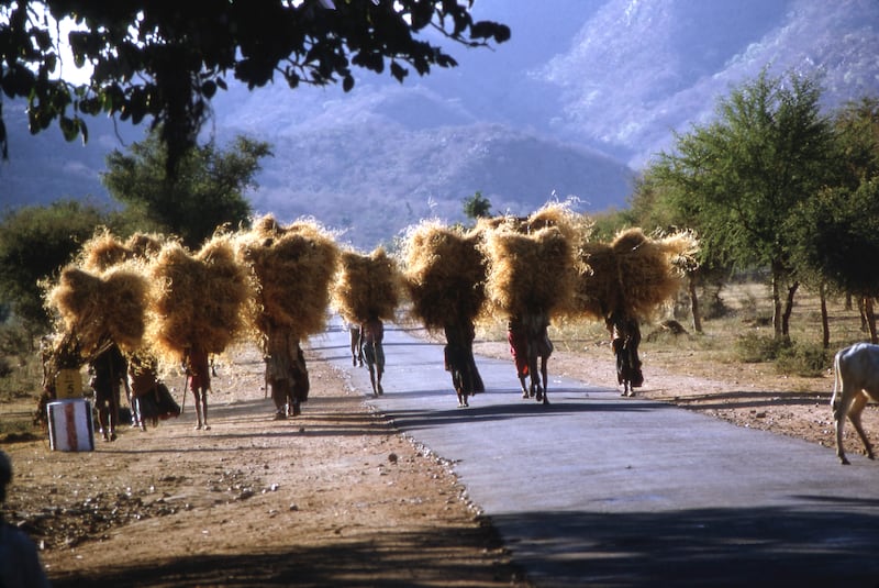 28.1_Passage_to_India_pesjvk