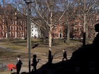 Harvard