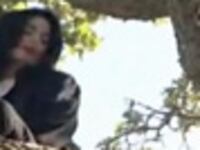 videos/2009/06/26/jacksons-martin-bashir-interview/basir-tree-interview_34292_qvinsz