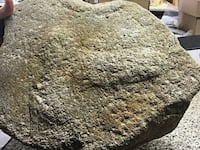 211015-cambridshire-phallus-hero_mmauot