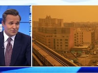 greg-kelly-reports_7_udulmo