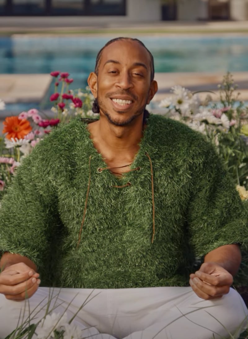 Ludacris in a March advertisement campaign with the vitamin and multivitamin brand One A Day.