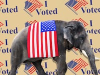 210322-gop-vote-tease_zeouaj