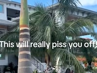 Millions of social media viewers followed the progress of a concrete house during the hurricane.
