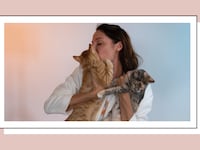 affiliate_-_basepaws.001_d7o16y