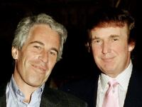 Donald Trump and Jeffrey Epstein were photographed side by side in a photo posted by democrats on X for 'National Best Friends Day.'