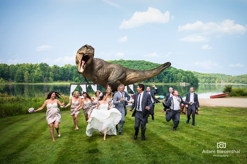 galleries/2014/08/10/the-year-of-the-insane-wedding-photo-jeff-goldblum-s-jurassic-park-disasterpiece-kimye-s-floral-smooch-and-more/140808-insane-wedding-jp_q8jfia