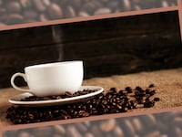 Best Coffee Subscription Services
