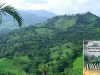 articles/2012/12/30/an-obsessive-s-search-for-a-lost-jungle-city/stewart-jungleland-tease-embed_hnfcvy