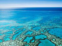 articles/2016/04/16/to-save-the-great-barrier-reef-move-it/160415-whittaker-great-barrier-reef-tease_nuajbx