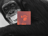 062922-shugarman-boredapes-hero_m1qqwv
