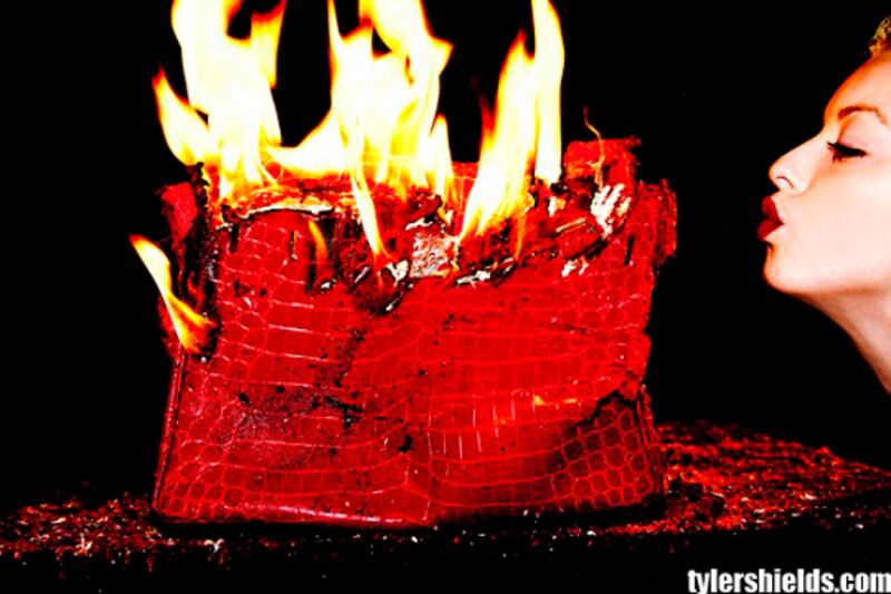 articles/2012/06/05/tyler-shields-extreme-photographer-of-lindsay-lohan-kellan-lutz-and-young-hollywood/tyler-shields-birkin-tease_x5vvqd