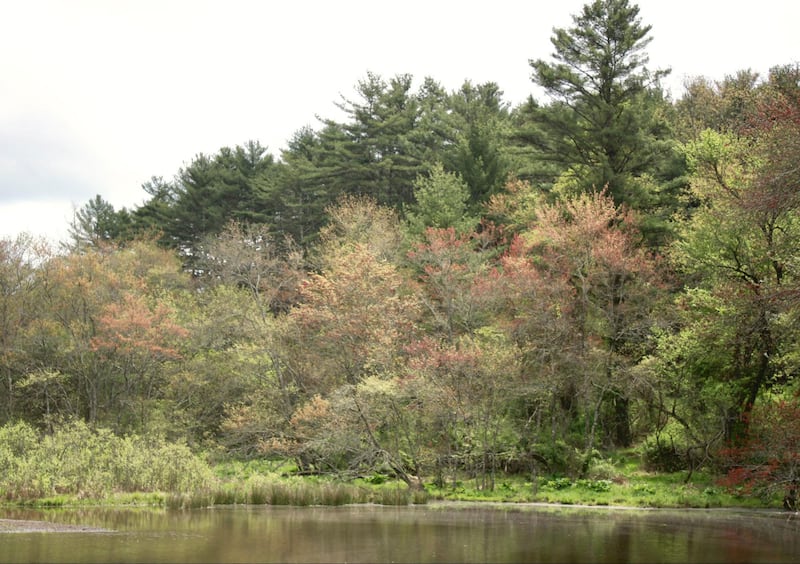 170529-jones-blue-ridge-parkway-embed-5_pag0oe