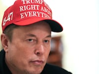 Elon Musk's connection to the Trump administration is damaging the Tesla brand, an analyst has warned.