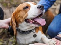 GettyImages-1331239814_nodvml