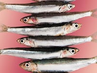 180924-rothbaum-anchovies-tease_zy99pf