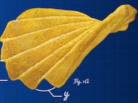 articles/2014/09/18/the-innovation-behind-the-crunch-enjoyed-around-the-world/150114-pepsico-crunch-tease_rspfy4