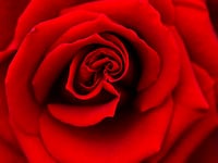 GettyImages-73240085_xpcmmd