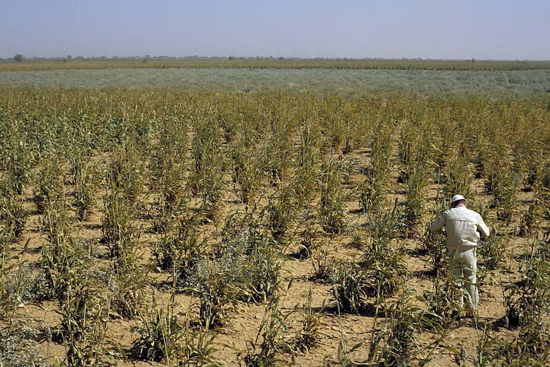 articles/2011/08/26/climate-change-is-making-deserts-greener/desert-greening-theil2_brc1ks