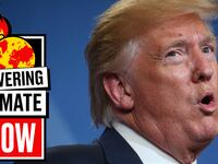 190919-miachelson-trump-tease_p1lf4i