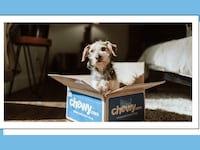 Chewy-Blue-Box-Sale-Event_txswub