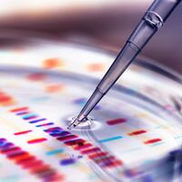 Pipette adding sample to petri dish with DNA profiles in background