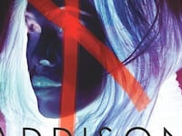 articles/2014/08/14/a-ya-novel-about-a-warhol-girl-with-banksy-talent/140813-ryan-addison-stone-tease_aqujld