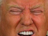 articles/2017/03/08/the-madness-of-president-donald/170306-wilson-trump-tease_muufyf