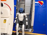 Bebop standing in the door of a Southwest plane.