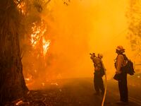 191029-Hatmaker-fire-california_zwzcvy