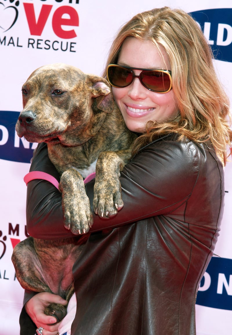 galleries/2012/11/03/blake-lively-usher-more-celebrities-crazy-about-their-dogs-photos/jessica-biel-celeb-dogs_xebagc