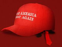 200407-stein-swin-trump-paranoia-hero1_zkimoj