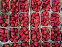 strawberries_kjewbx