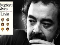 articles/2012/08/24/american-dreams-the-stepford-wives-by-ira-levin/stepford-wives-ira-levin-teaser_gg3zf7