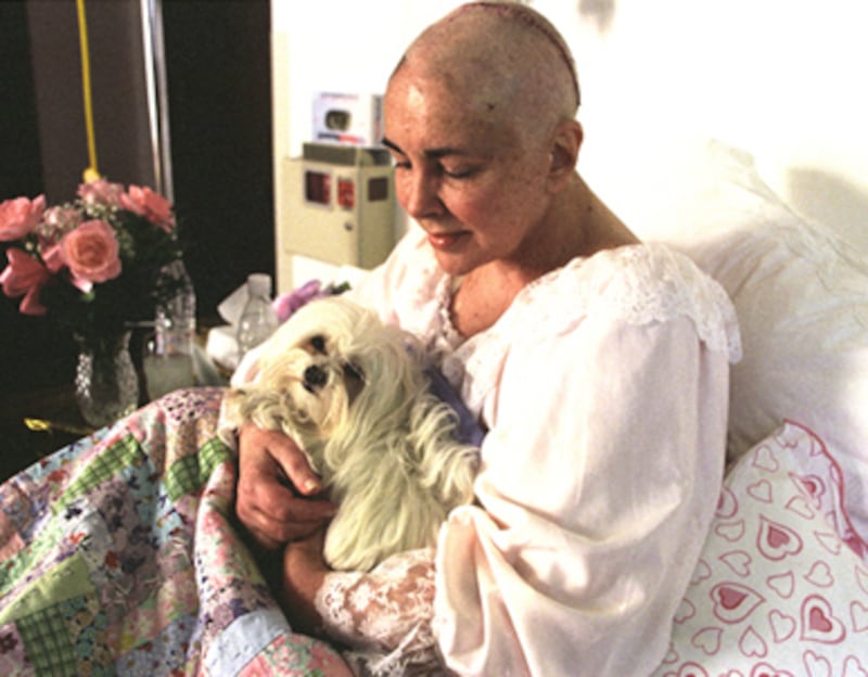 articles/2011/03/24/elizabeth-taylor-photographers-muse-harry-benson-remembers-the-actress/benson-liz-taylor_168799_jbj5f6