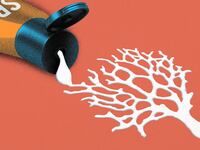 190307-the-conversation-sunscreen-coral-reefs-hero_xfymq7
