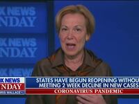 fox-news-sunday-chris-wallace_3_cnqdph