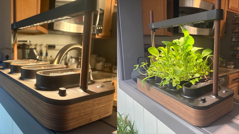 A side by side of the Auk Mini 2. On the left, the device is newly started, with a warm light and no plants to be seen. On the right, the device shows a bounty of green leaves, ready for harvest.