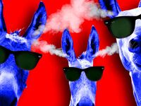 articles/2017/04/30/the-arrogance-of-blue-america/1704300-kotkin-blue-arrogance-tease_vhgcba