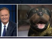 articles/2016/01/20/ted-cruz-gets-pooped-on-by-triumph-the-insult-comic-dog-in-new-hampshire/160119-wilstein-ted-cruz-triumph-tease_rjotc2