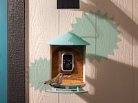 Netvue AI Smart Bird Feeder
