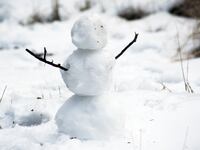 cold_qzdloi