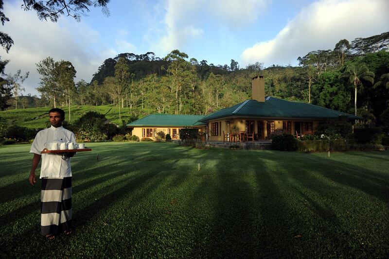 articles/2016/10/01/uncovering-the-secret-charms-of-a-tea-plantation-hotel/160922-wolff-tea-trails-embed3_lhb1nq