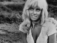 Joy Harmon turned heads in the iconic car wash scene from the film 'Cool Hand Luke', 1967. Photo by Warner Brothers-Seven Arts/Getty Images.