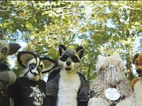 articles/2016/05/05/exposing-the-david-miscavige-of-furries/160504-yamato-furries-tease_myh7pw