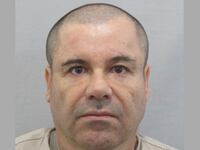 cheats/2016/01/08/mexican-president-we-caught-el-chapo/160108-el-chapo-cheat_om7blm
