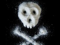 articles/2014/06/20/when-table-salt-becomes-poison/140619-saunders-salt-tease_zbdolq