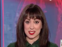videos/2017/04/05/erin-gloria-ryan-appears-on-msnbc/170405-erin-ryan-msnbc_eeojcr
