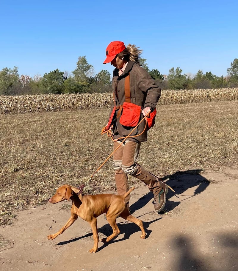 Another picture of "perfect dog" Foster, from the October 2022 hunt.